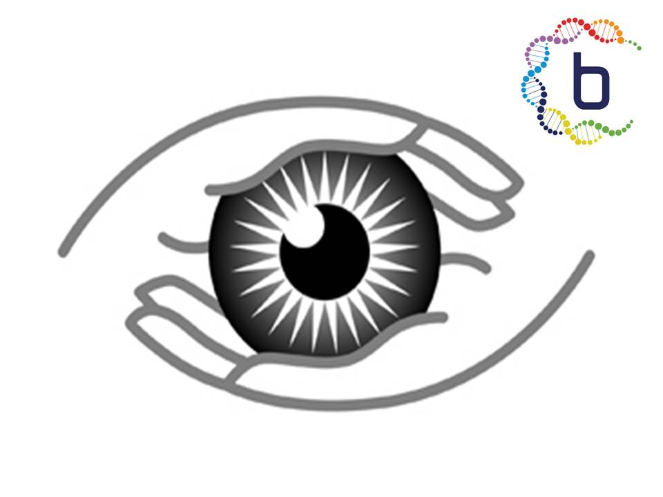 Ophthalmology (Eye) 